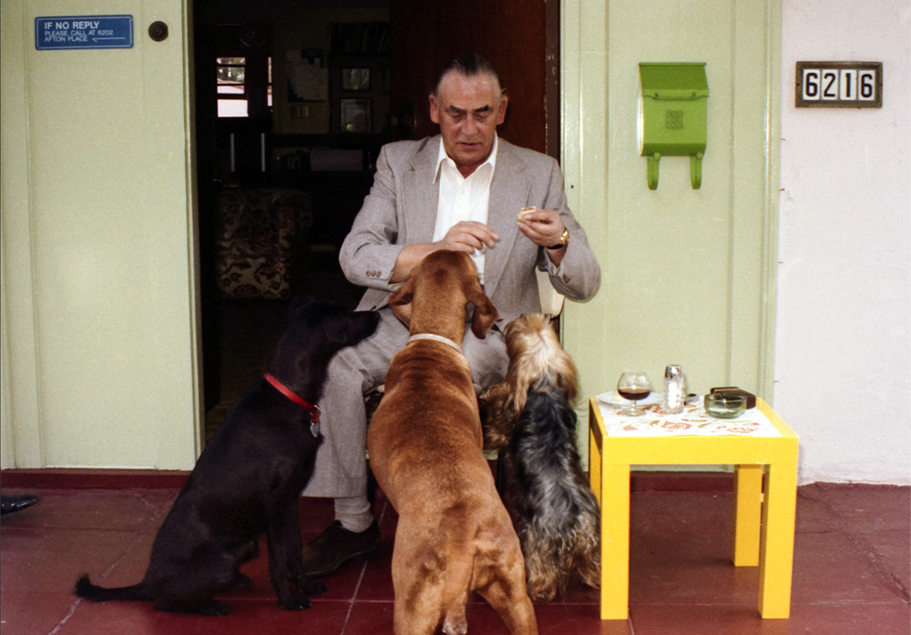 Master-with-dogs
